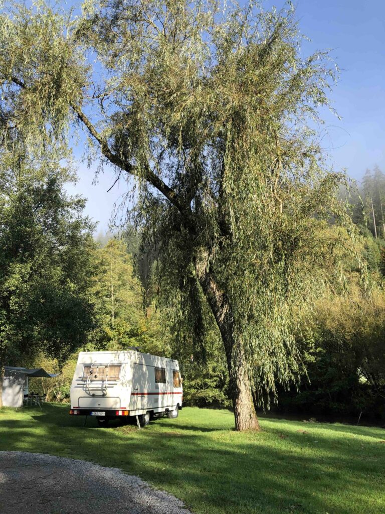 Schwarzwald Camping Altensteig: Oldtimer Wohnmobil steht auf einer Wiese