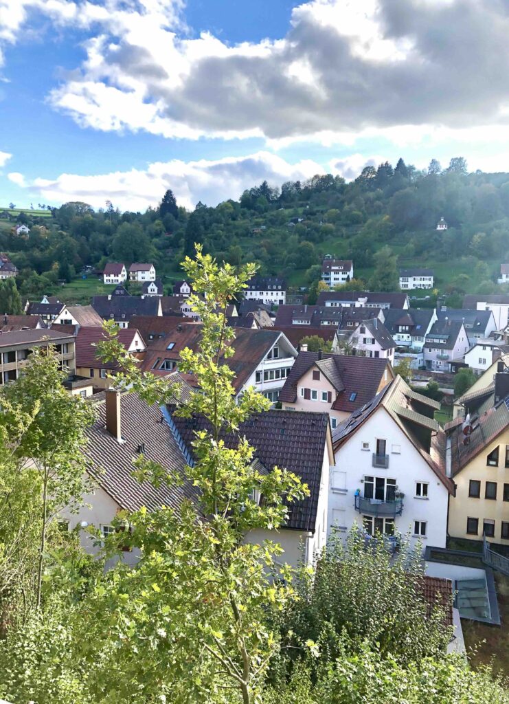 Blick auf Altensteig