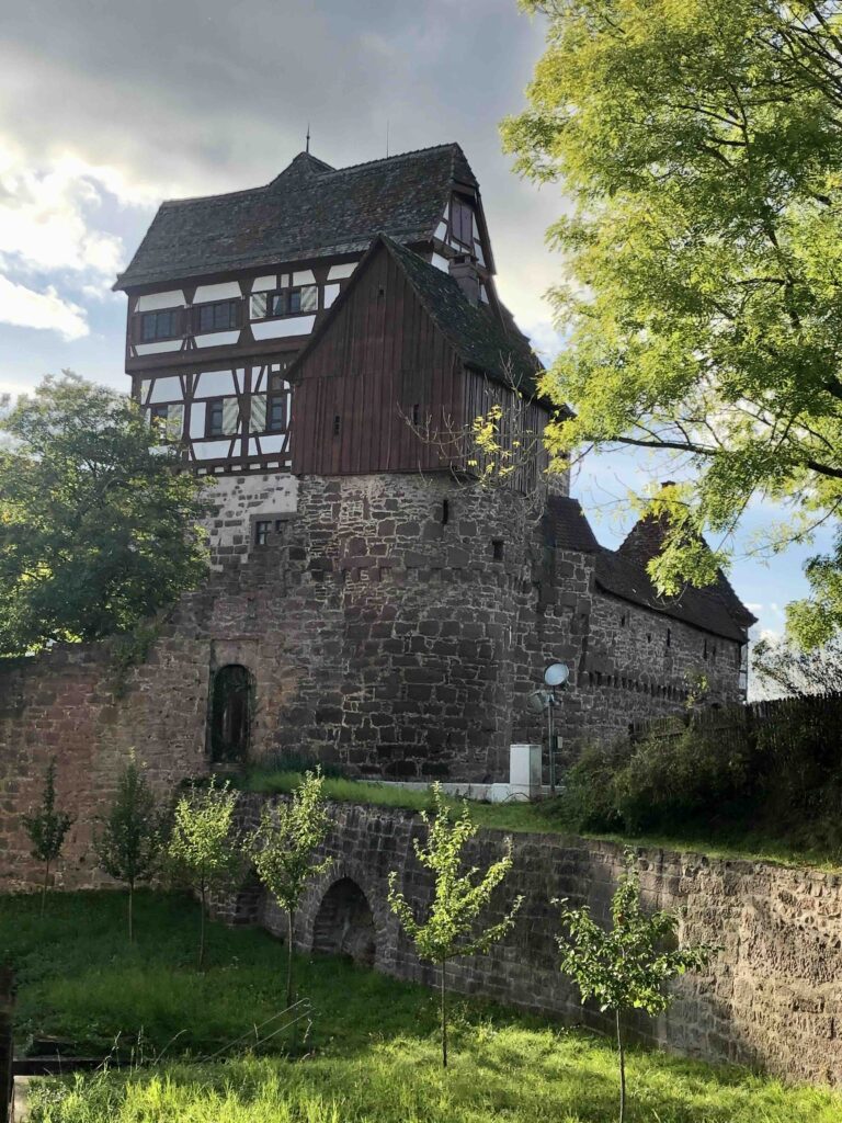 Blick auf das alte Schloss  Altensteig