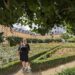 Bamberg Rosengarten. Weibliche Person steht zwischen den Rosenbeeten.