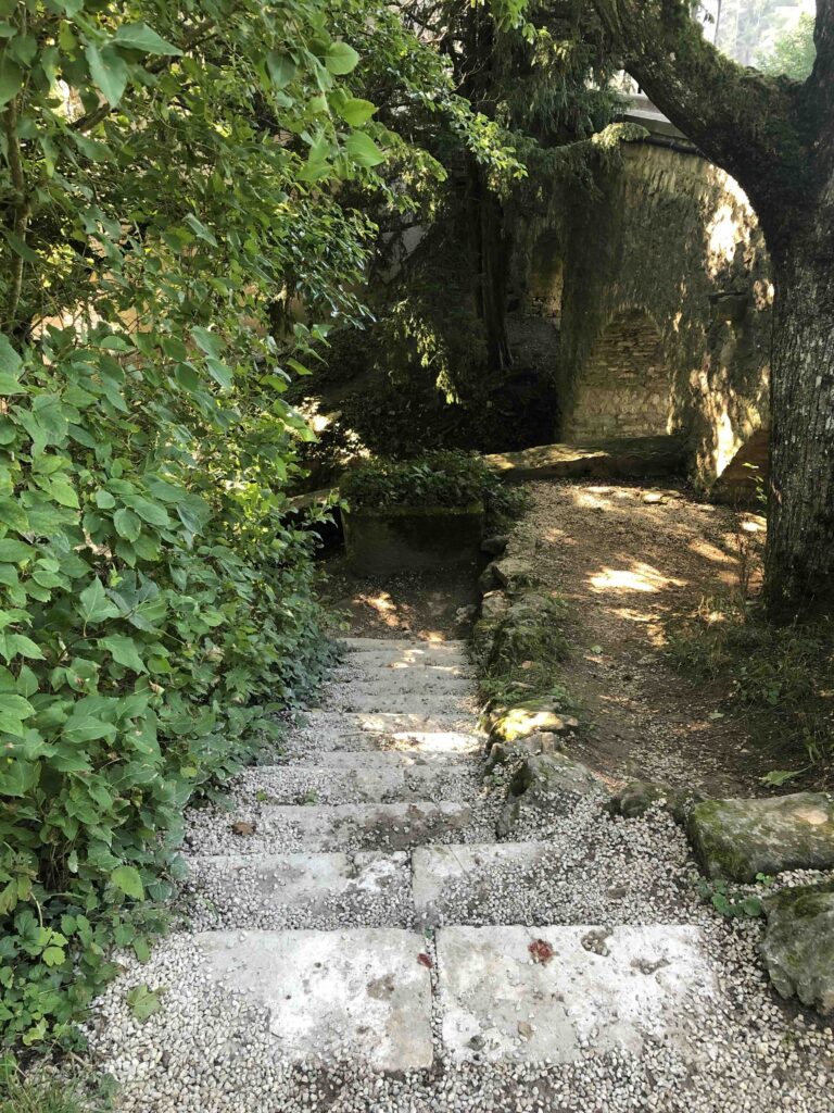 Eine Kleien Steintreppe die etwas eingewachsen ist und in den Burggraben führt