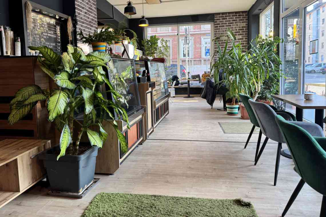 Café Ginkgo Nürnberg