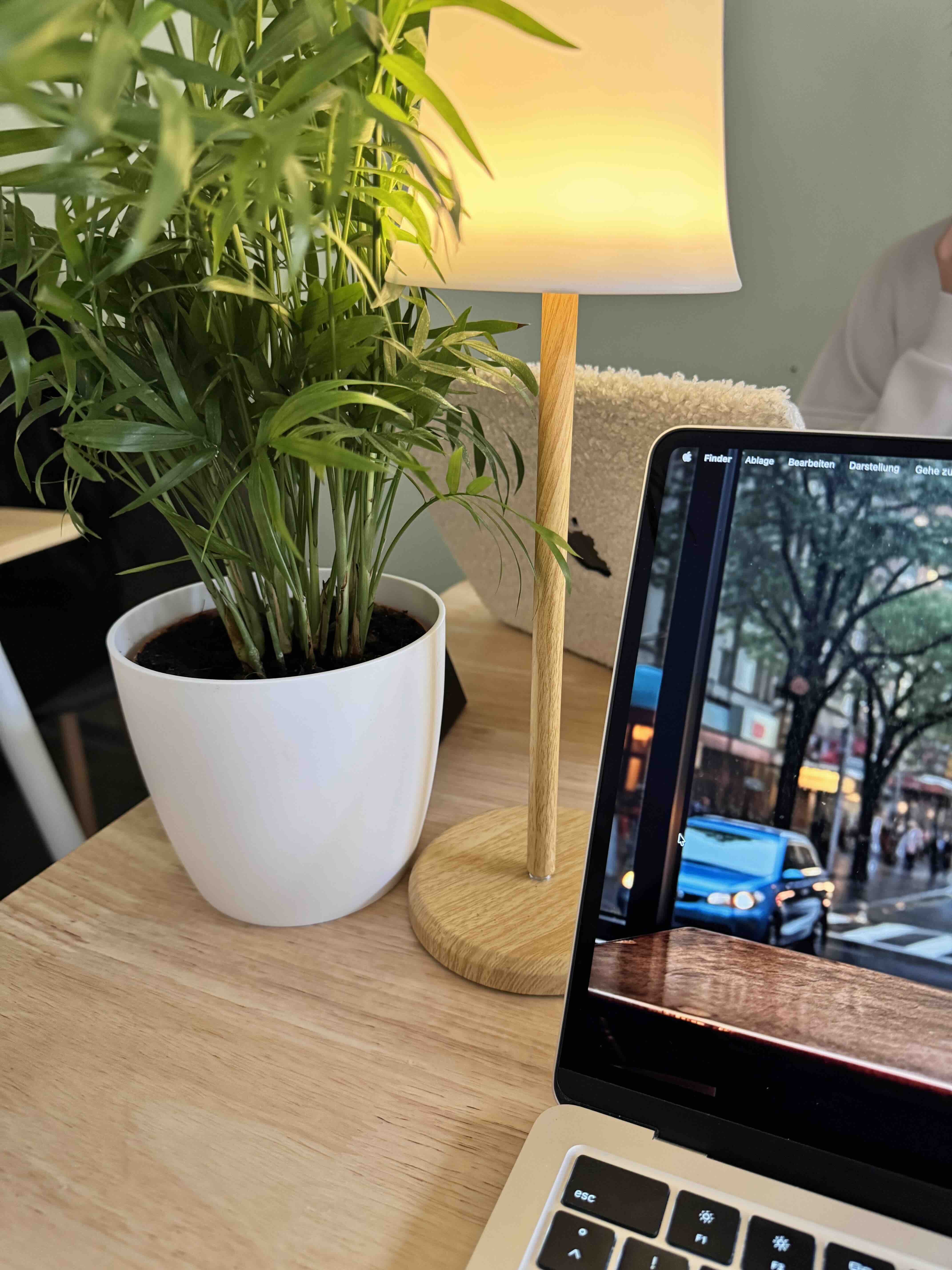 Laptop beim Coworking im Café Flowermoon Nürnberg